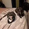 Anthony Norton - @anthony.norton29 - TikTok