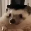 Anthony Norton - @anthony.norton8 - TikTok