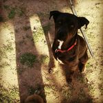 anthony obezo - @dj__angle - Instagram