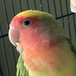 Anthony_Lichtefeld - @anthony_or_something1214 - Instagram