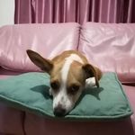Anthony Otto - @anthony.otto - Instagram