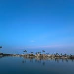 Aj pacitti - @anthonypacitti4 - Instagram