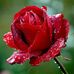 Anthony Pat - Facebook