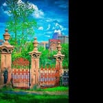 @anthonypatel81 - Instagram