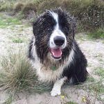 Anthony Pates - @anthony.pates.1 - Instagram