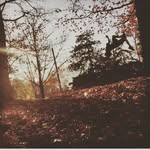 Anthony Patti - @914anthonypatti - Instagram