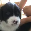 Anthony Patten - @anthony.patten0 - TikTok