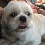 Anthony Rocky Pattison - @anthonyrockypattison - Instagram
