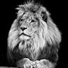 Anthony Pavy - @anthonypavy - TikTok