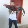 anthonypavon641 - @anthonypavon641 - TikTok
