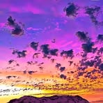 Anthony Pearman - Facebook