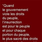 Anthony Pechereau - @anthonypechereau - Instagram