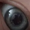 Anthony Pecorella - @anthonypecorella28 - TikTok