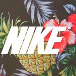 anthony pecorelli - @anthony_tropical - Instagram