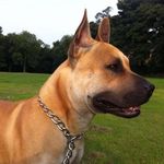 Anthony Peel - @anthony.peel - Instagram