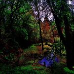 Anthony - @anthonypenneyphotography - Instagram