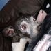 Anthony Peoples - Facebook