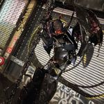 Anthony Pepper - @mrpepper2024 - Instagram