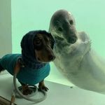 Anthony - @anthonypercivall - Instagram