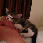 anthonyperot - @anthonyperot - Instagram