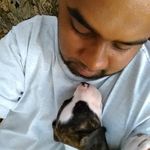 Anthony Persad - @cainthebulldog - Instagram