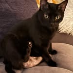 Anthony - @anthony.that.one.person - Instagram