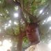 Anthony Peter - Facebook