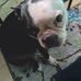 Anthony Petrey - Facebook