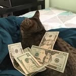 Anthony Petrizzo - @anthonypetrizzo - Instagram