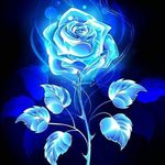 Anthony Silvia Pfaff Diaz - @pfaffdiaz - Instagram