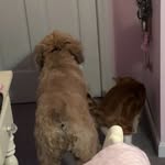 Pickles_Anthony - @pickles_anthony - Instagram