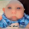 Anthony Pintorhhhhhhhhhjjvhhjb - @anthony.pintorhhh - TikTok