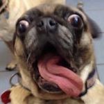 Anthony Plante 524 - @anthonyplante524 - Instagram