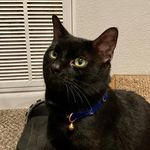Anthony Pogue - @pogueanthony585 - Instagram
