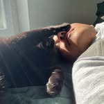 Anthony Ponte - @axtonyp - Instagram