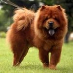Anthony Prescott - @anthony.prescott.161 - Instagram