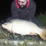 Anthony Prevost - @prevostii - Instagram