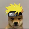 anthony_pruciano - @anthony_pruciano - TikTok