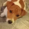 Anthony Prout - @anthony.prout - TikTok