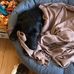Anthony Pryce - Facebook