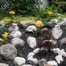 Anthony Ptak - Facebook