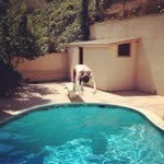 Anthony Pucillo - @apuc - Instagram