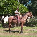Anthony Puga - @anthonypuga23 - Instagram