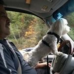 Anthony Pulice - @puliceanthony - Instagram