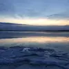 Antony Pulcinelli - @antony118118 - TikTok
