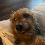 @anthony_puntillo - Instagram
