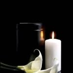 Anthony Panzo - Facebook