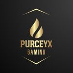 anthony purcell - @purceyxgaming - Instagram