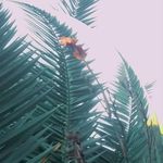 anthony putnam - @zzzwrld1 - Instagram