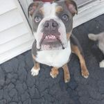 Anthony Putnam - @putnamanthony - Instagram